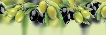 Оливки и маслины 