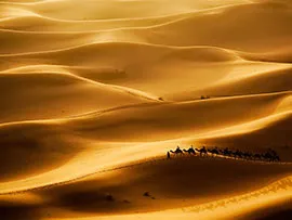 Пески пустыни 
