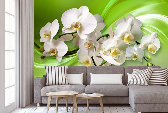 Фотообои Белые огромные орхидеи на салатовом фоне
