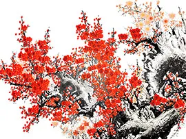 Цветение сакуры